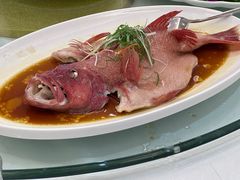 -泉龙渔村·粤式早茶·金牌烧鹅(中山三乡店)