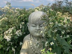 -武陵山森林公园