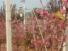 -西北农林科技大学(北校区)