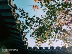 -西山人家·二十年老字号农家菜(旺山店)