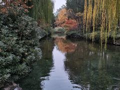 -趵突泉景区