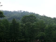 -番禺大夫山森林公园