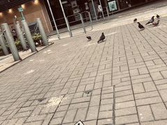 -兰桂坊