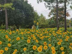 -无锡蠡湖国家湿地公园-蠡园