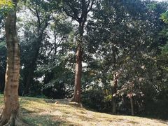 -广州市白云山风景名胜区