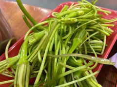 水性杨花-大理.老字号渝记酸萝卜乌鱼(古城总店)