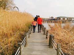 -太湖湖滨国家湿地公园-停车场