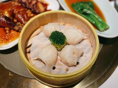 -领鲜天下·焗海鲜·花胶鸡(天目里店)
