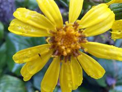 滨湖湿地公园-合肥滨湖国家森林公园