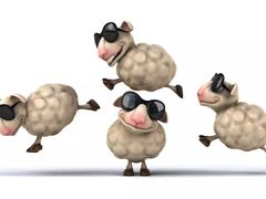 -新兴园饺子馆(北京百子湾店)