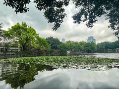 -荔湾湖公园