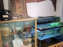 -甜心闲生传统手工冰粉(奎星楼店)