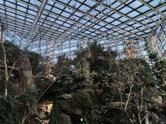 -大阪海游馆