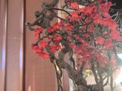 -苏帮袁Sue Cuisine(南开大悦城店)