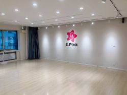 -SPink舞蹈