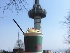 -茶颜悦色(岳麓山顶店)