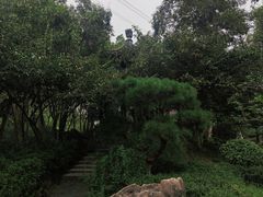 -重庆园博园