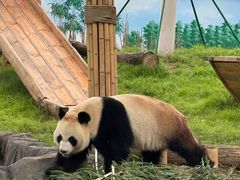 -秦皇岛野生动物园