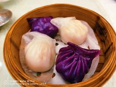 -坚记酒家·佛山老字号·顺德鱼生标准示范店
