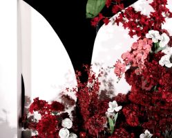 -明典婚礼策划·婚车租赁·婚纱摄影