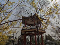-莲花池公园