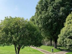 -九里河湿地公园