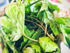 野菜-原汁原味驴庄(长岭村店)
