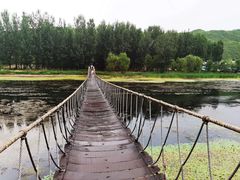 -白河湾生态旅游一条川