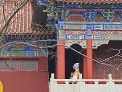 -开福禅寺