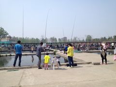iphone_upload_pic-特种渔场