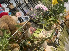 -F.Story 花和故事(新天地店)