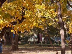 -国家植物园南园