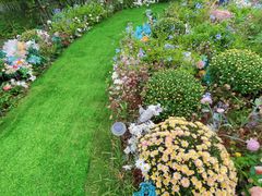 -HERRE·FARM 赫尔露营农场·团建聚会包场