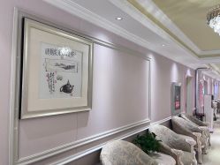 -北京俪婴妇产医院(朝阳大悦城店)