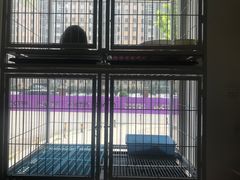 -沐沐家宠物(成寿寺店)