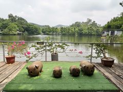 -老木棉·匠园
