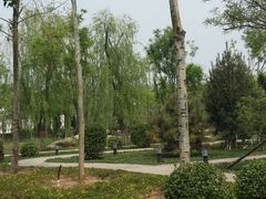 -武清南湖绿博园