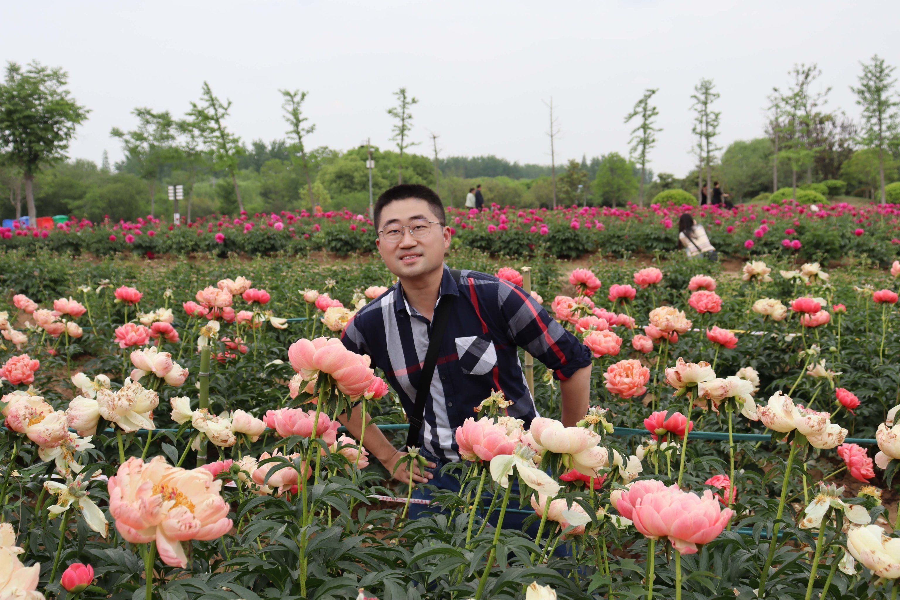 扬州芍药园,它被誉为中华芍药第一园,花开时节的这里美出了天际