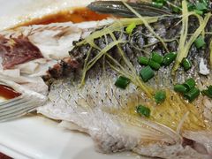 -瑞记湛江鸡饭店·粤西第一鸡(粤垦店)