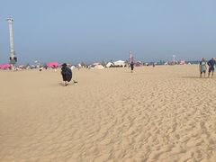 -南戴河旅游度假区