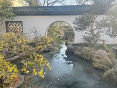 -上海醉白池公园