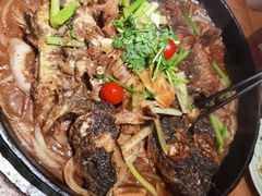 -老板恋上鱼(环山路店)
