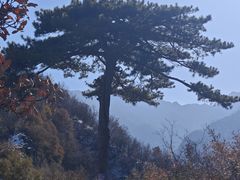 -秦岭终南山世界地质公园翠华山景区