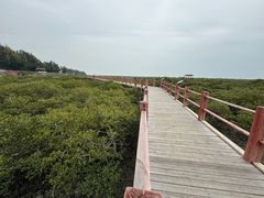 -北海金海湾红树林生态旅游区