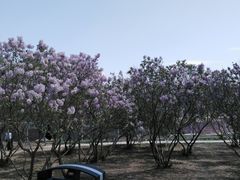 -长春公园(普阳街道)