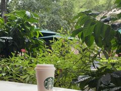 -星巴克臻选(广州沙面店)