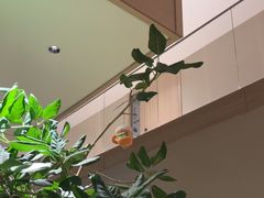 -A+阿加汤宿(大悦城店)