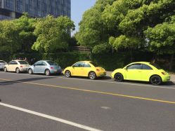 -畅步婚车(浦东店)