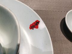 -古京·臻致料理(月湖店)