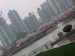 -西北湖绿化广场